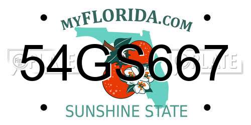 54GS667 Florida License Plate