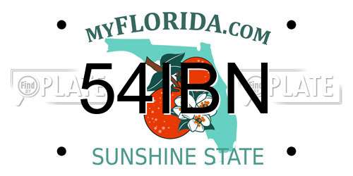 54IBN Florida License Plate