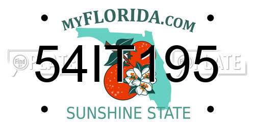 54IT195 Florida License Plate
