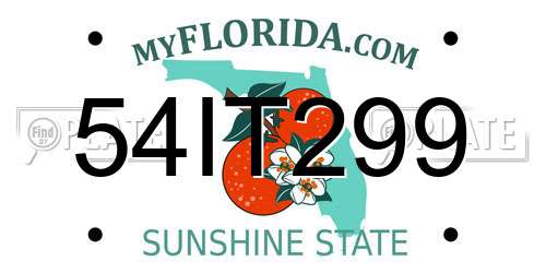 54IT299 Florida License Plate