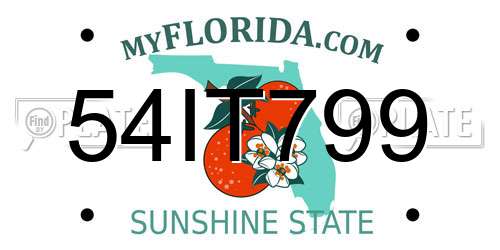 54IT799 Florida License Plate