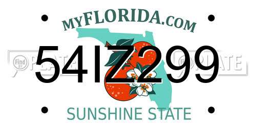 54IZ299 Florida License Plate