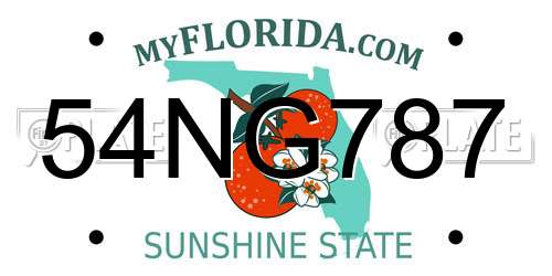 54NG787 Florida License Plate
