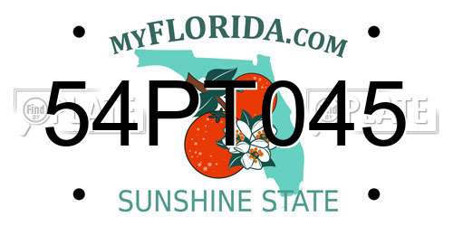 54PT045 Florida License Plate