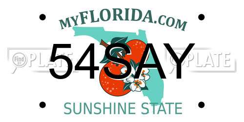 54SAY Florida License Plate