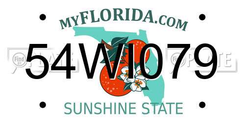 54WI079 Florida License Plate
