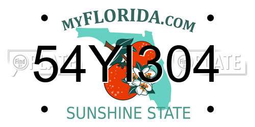 54YI304 Florida License Plate