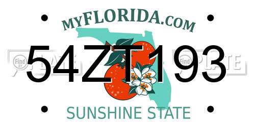 54ZT193 Florida License Plate
