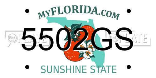 5502GS Florida License Plate