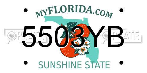 5503YB Florida License Plate