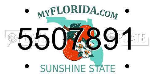 5507891 Florida License Plate