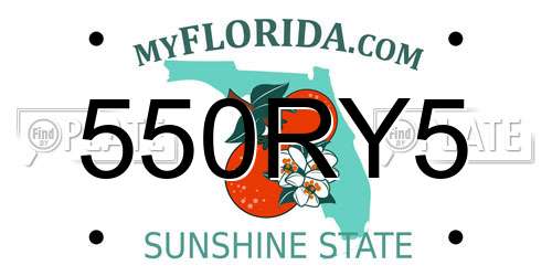 550RY5 Florida License Plate