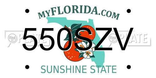 550SZV Florida License Plate