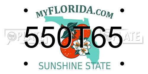 550T65 Florida License Plate