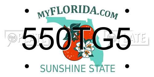 550TG5 Florida License Plate
