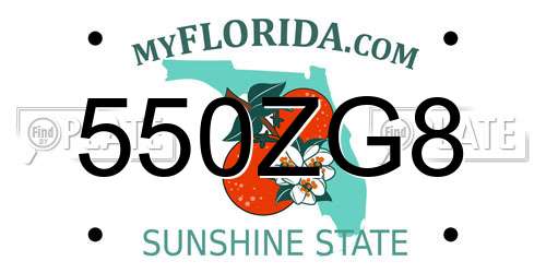 550ZG8 Florida License Plate