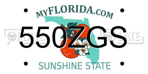 550ZGS Florida License Plate