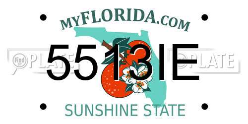 5513IE Florida License Plate