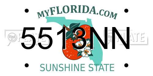 5513NN Florida License Plate