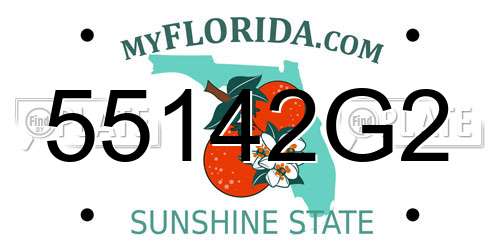 55142G2 Florida License Plate