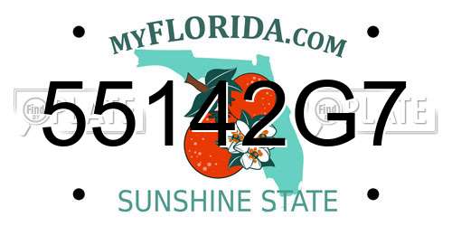 55142G7 Florida License Plate