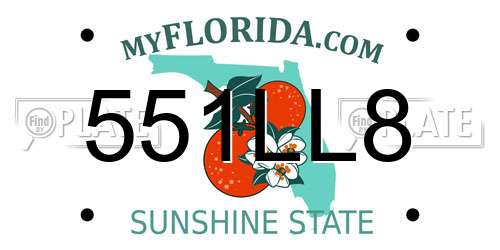 551LL8 Florida License Plate