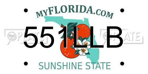 551LLB Florida License Plate