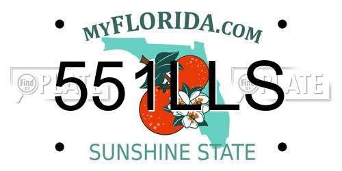 551LLS Florida License Plate