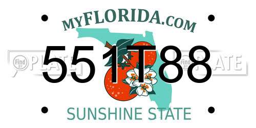 551T88 Florida License Plate