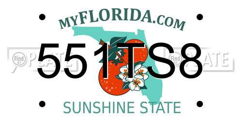 551TS8 Florida License Plate
