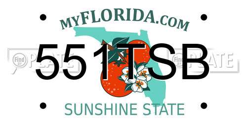 551TSB Florida License Plate