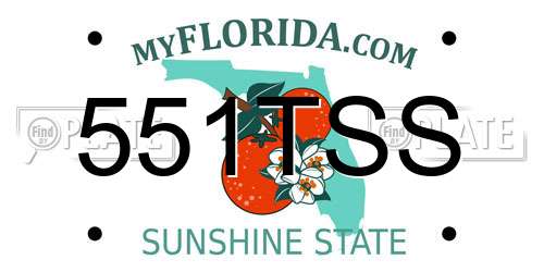 551TSS Florida License Plate