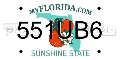 551UB6 Florida License Plate