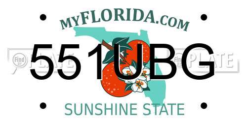 551UBG Florida License Plate