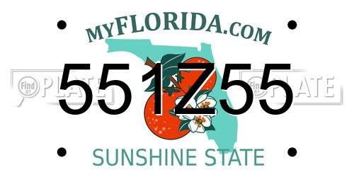 551Z55 Florida License Plate