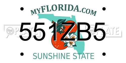 551ZB5 Florida License Plate
