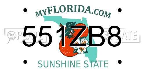 551ZB8 Florida License Plate