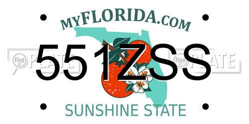 551ZSS Florida License Plate