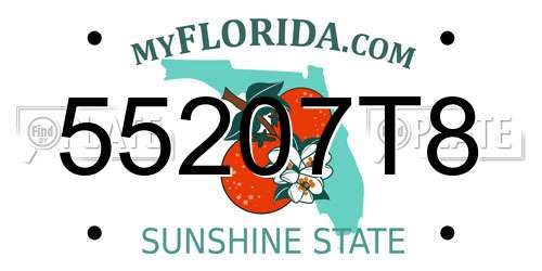 55207T8 Florida License Plate
