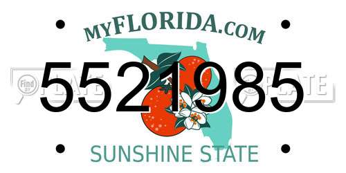 5521985 Florida License Plate