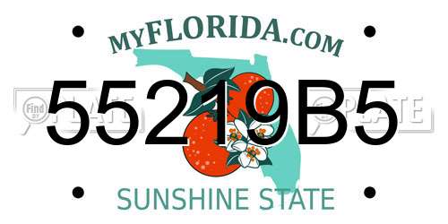55219B5 Florida License Plate