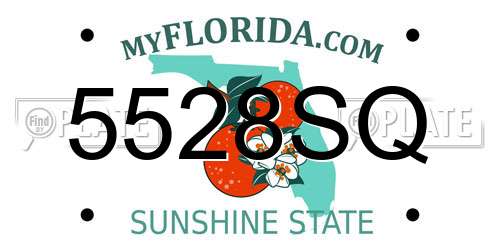 5528SQ Florida License Plate