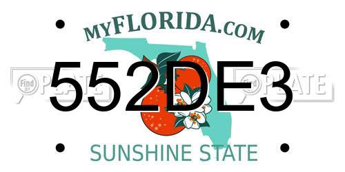552DE3 Florida License Plate