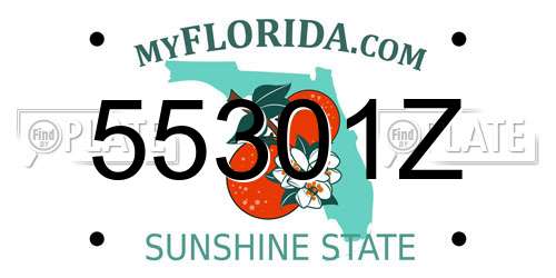 55301Z Florida License Plate