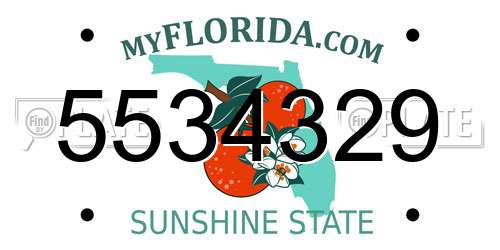 5534329 Florida License Plate