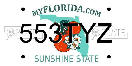 553TYZ Florida License Plate