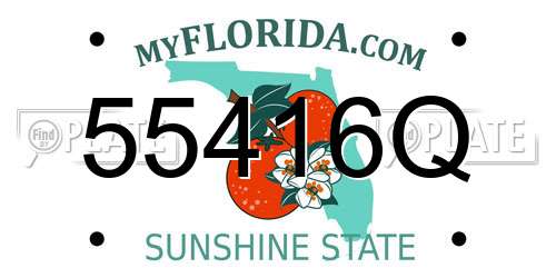 55416Q Florida License Plate
