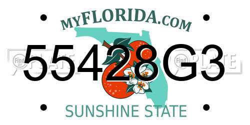 55428G3 Florida License Plate