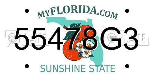 55478G3 Florida License Plate