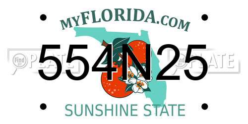 554N25 Florida License Plate